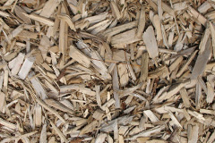 biomass boilers Steinis
